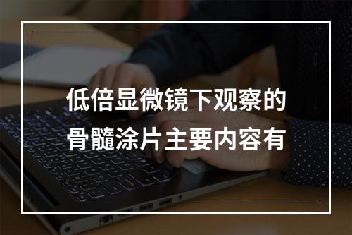 低倍显微镜下观察的骨髓涂片主要内容有