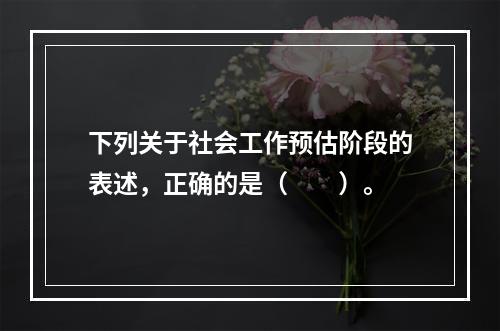 下列关于社会工作预估阶段的表述，正确的是（　　）。