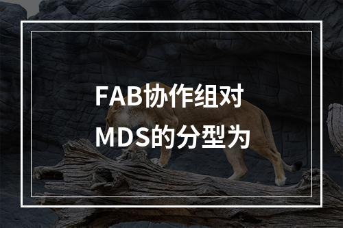 FAB协作组对MDS的分型为