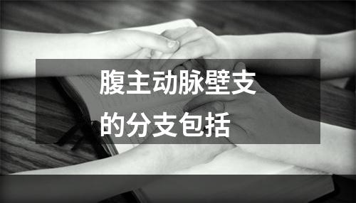 腹主动脉壁支的分支包括