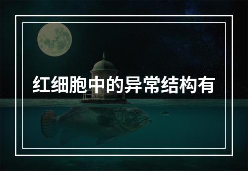 红细胞中的异常结构有