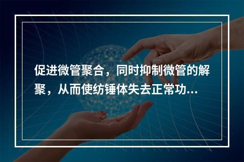 促进微管聚合，同时抑制微管的解聚，从而使纺锤体失去正常功能，