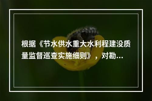 根据《节水供水重大水利程建没质量监督巡查实施细则》，对勘察设