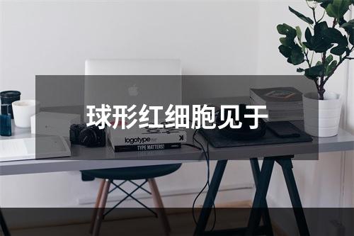 球形红细胞见于