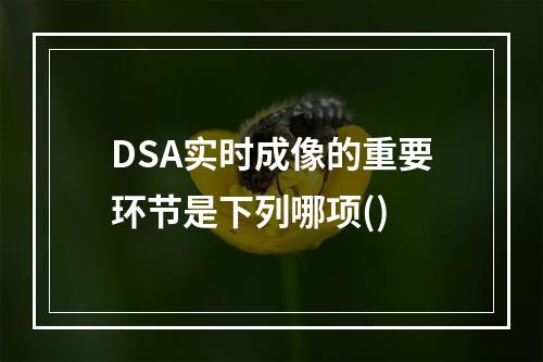 DSA实时成像的重要环节是下列哪项()