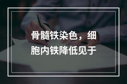 骨髓铁染色，细胞内铁降低见于