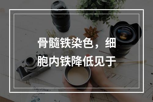 骨髓铁染色，细胞内铁降低见于