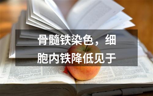 骨髓铁染色，细胞内铁降低见于