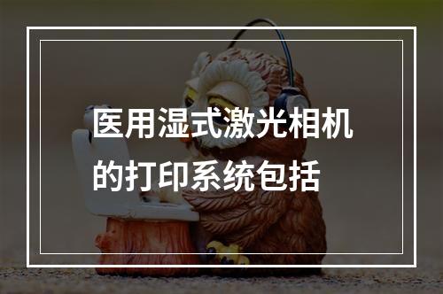 医用湿式激光相机的打印系统包括