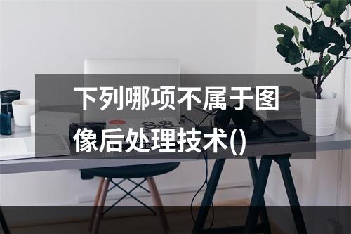 下列哪项不属于图像后处理技术()