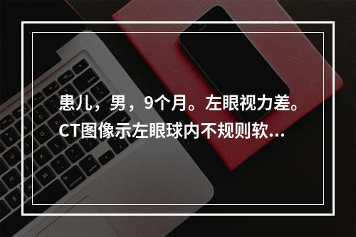 患儿，男，9个月。左眼视力差。CT图像示左眼球内不规则软组织