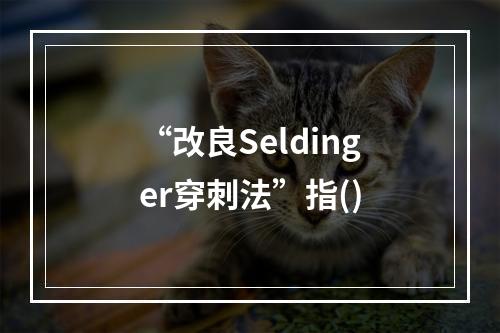 “改良Seldinger穿刺法”指()