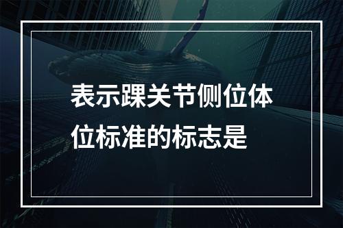 表示踝关节侧位体位标准的标志是