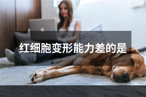 红细胞变形能力差的是