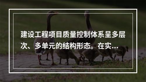 建设工程项目质量控制体系呈多层次、多单元的结构形态。在实行交