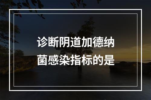 诊断阴道加德纳菌感染指标的是