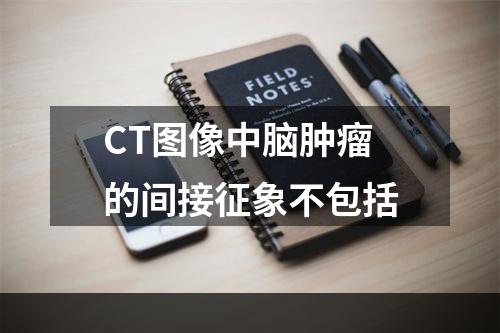 CT图像中脑肿瘤的间接征象不包括