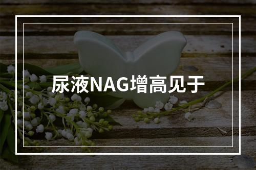 尿液NAG增高见于