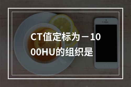 CT值定标为－1000HU的组织是