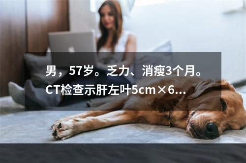 男，57岁。乏力、消瘦3个月。CT检查示肝左叶5cm×6cm