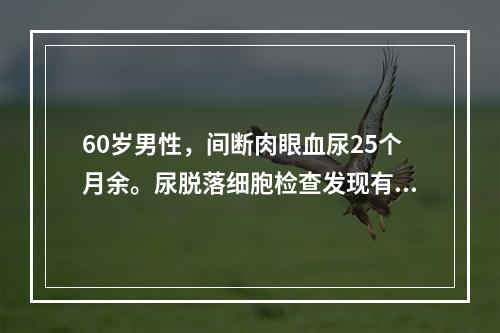 60岁男性，间断肉眼血尿25个月余。尿脱落细胞检查发现有肿瘤