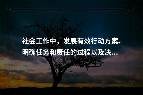 社会工作中，发展有效行动方案、明确任务和责任的过程以及决策行