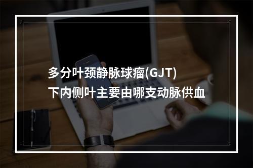 多分叶颈静脉球瘤(GJT)下内侧叶主要由哪支动脉供血