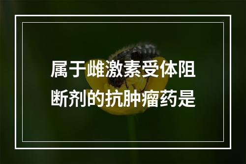 属于雌激素受体阻断剂的抗肿瘤药是