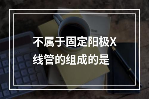 不属于固定阳极X线管的组成的是