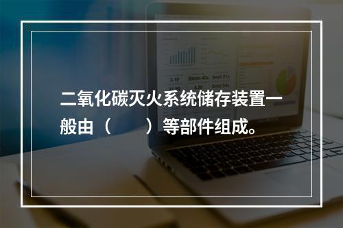 二氧化碳灭火系统储存装置一般由（  ）等部件组成。