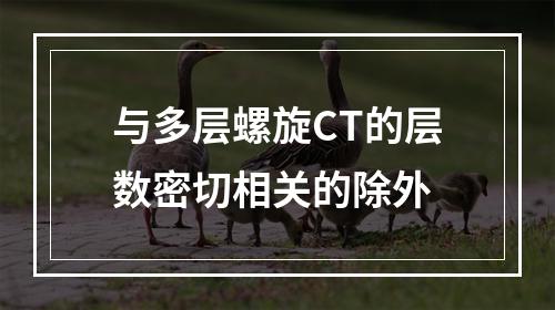 与多层螺旋CT的层数密切相关的除外