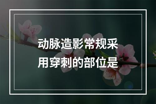 动脉造影常规采用穿刺的部位是