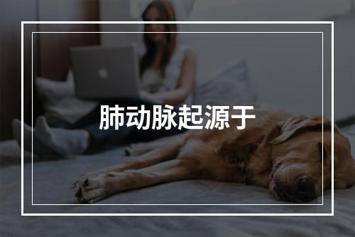 肺动脉起源于