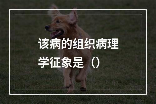 该病的组织病理学征象是（）