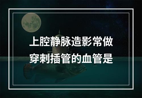 上腔静脉造影常做穿刺插管的血管是