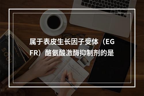 属于表皮生长因子受体（EGFR）酪氨酸激酶抑制剂的是