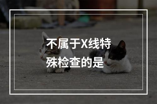 不属于X线特殊检查的是