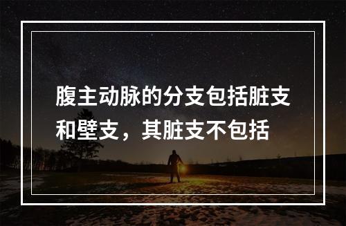 腹主动脉的分支包括脏支和壁支，其脏支不包括