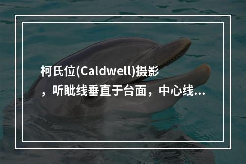 柯氏位(Caldwell)摄影，听眦线垂直于台面，中心线应向