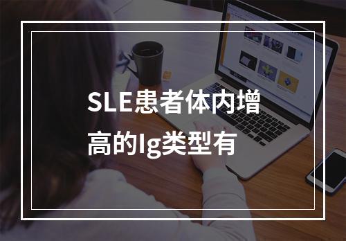 SLE患者体内增高的Ig类型有