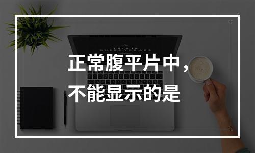 正常腹平片中，不能显示的是