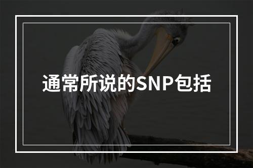 通常所说的SNP包括