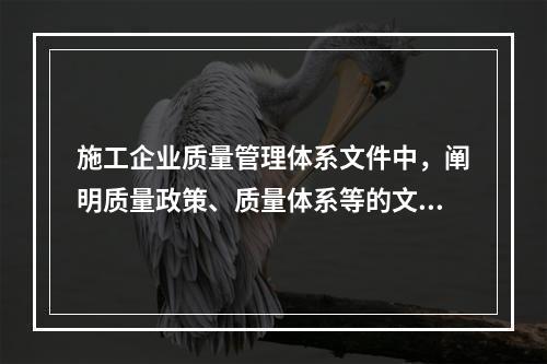 施工企业质量管理体系文件中，阐明质量政策、质量体系等的文件是