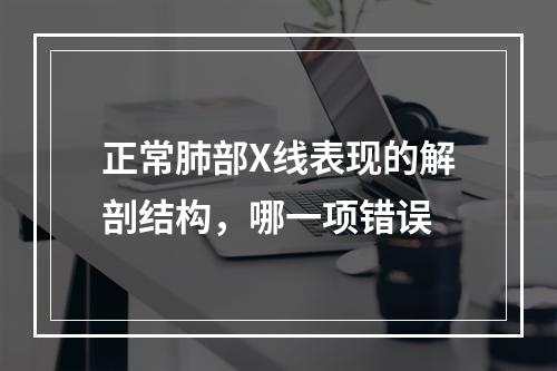 正常肺部X线表现的解剖结构，哪一项错误