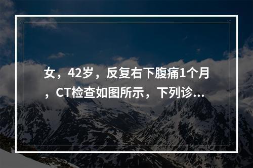 女，42岁，反复右下腹痛1个月，CT检查如图所示，下列诊断正