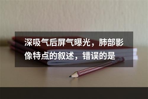 深吸气后屏气曝光，肺部影像特点的叙述，错误的是