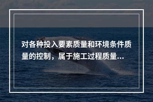 对各种投入要素质量和环境条件质量的控制，属于施工过程质量控制