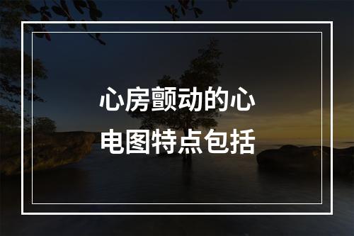 心房颤动的心电图特点包括