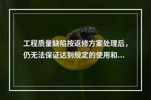 工程质量缺陷按返修方案处理后，仍无法保证达到规定的使用和安全