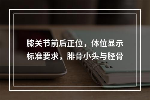 膝关节前后正位，体位显示标准要求，腓骨小头与胫骨